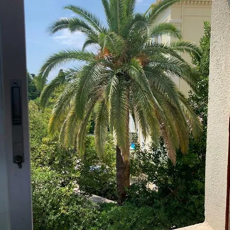 Choice Dispo Centre 2 Terrasses 2 Chbres 6p Parking Prive *